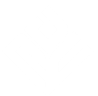 NDU